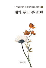 내가 두고 온 소년(기일혜 작가의 끝나지 않은 이야기 6)