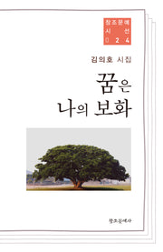 꿈은 나의 보화(창조문예시선 24)