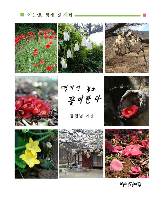 떨어진 꽃도 꽃이란다(개정판)