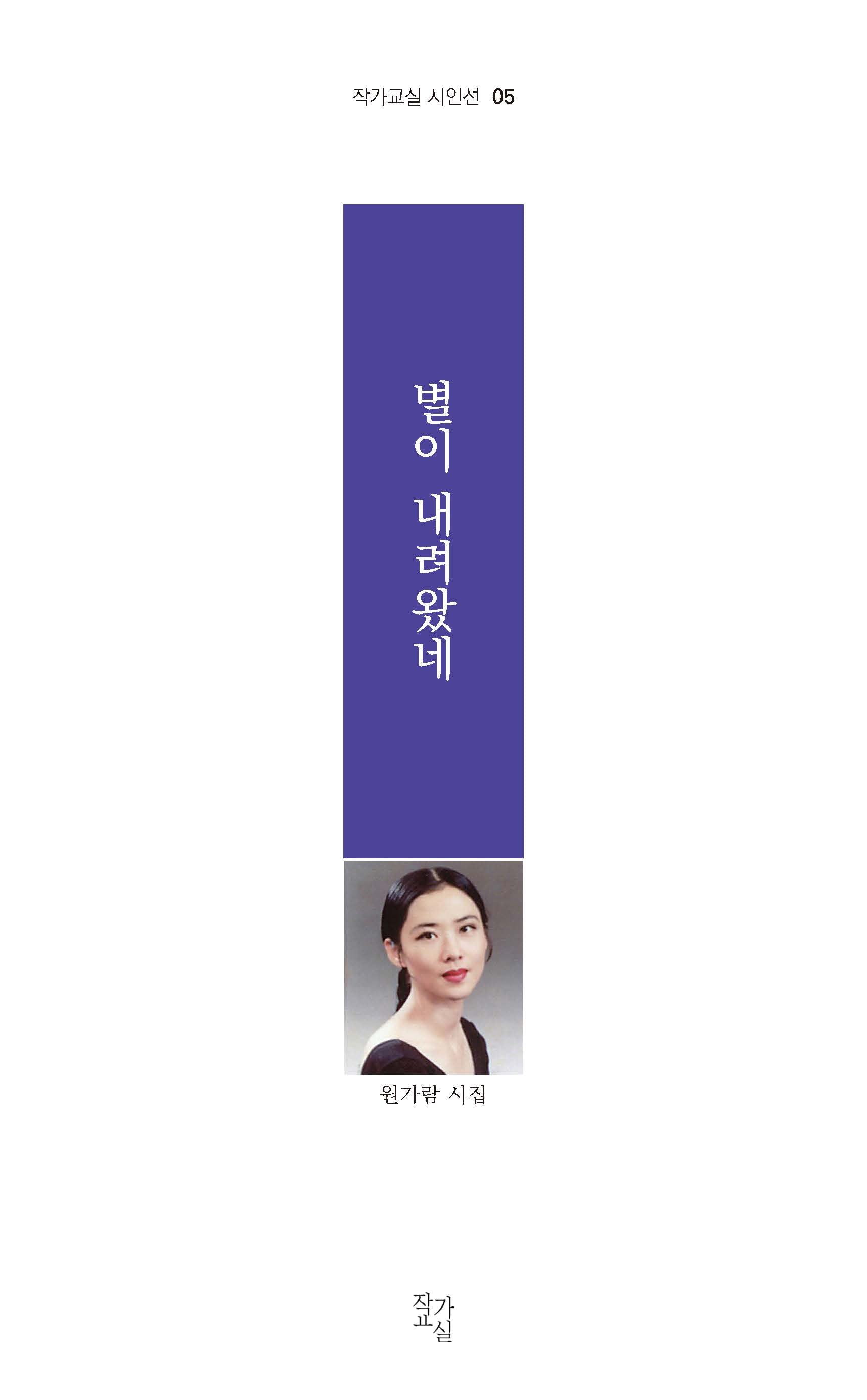 별이 내려왔네(작가교실 시인선 05)