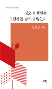 정오의 햇살은 그림자를 남기지 않는다(시와시학시인선 28)