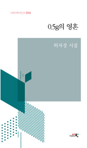 0.5g의 영혼(시와시학시인선 34)