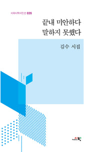 끝내 미안하다 말하지 못했다(시와시학시인선 35)