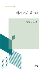 네가 어디 있느냐(시와시학시인선 36)