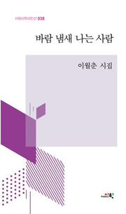 바람 냄새 나는 사람(시와시학시인선 38)