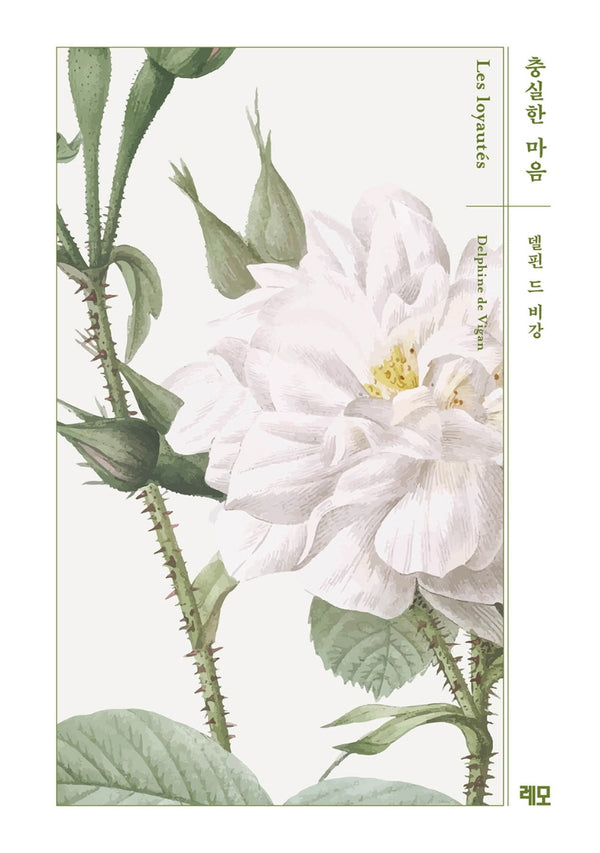 충실한 마음(델핀 드 비강 마음 시리즈 1)