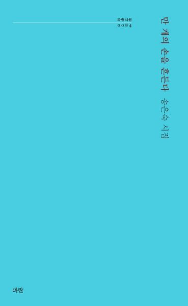 만 개의 손을 흔든다(파란시선 84)