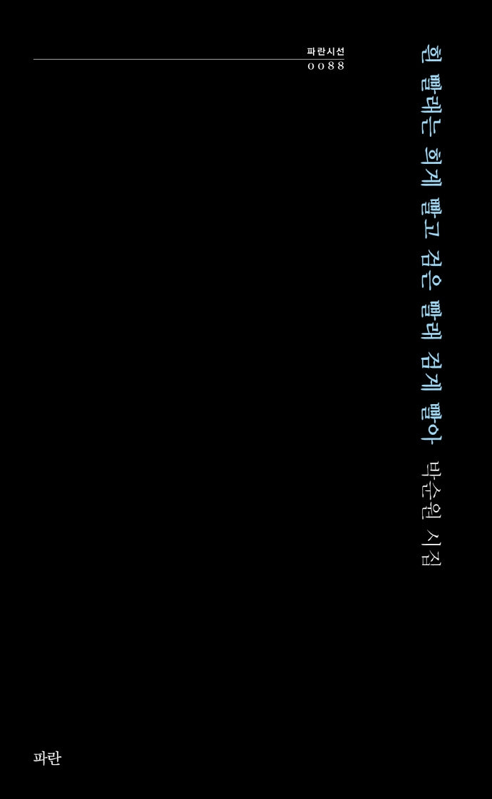 흰 빨래는 희게 빨고 검은 빨래 검게 빨아(파란시선 88)