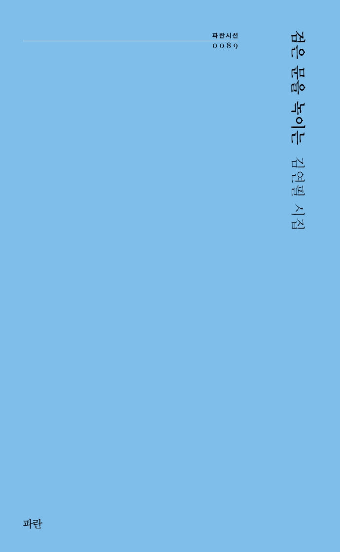 검은 문을 녹이는(파란시선 89)