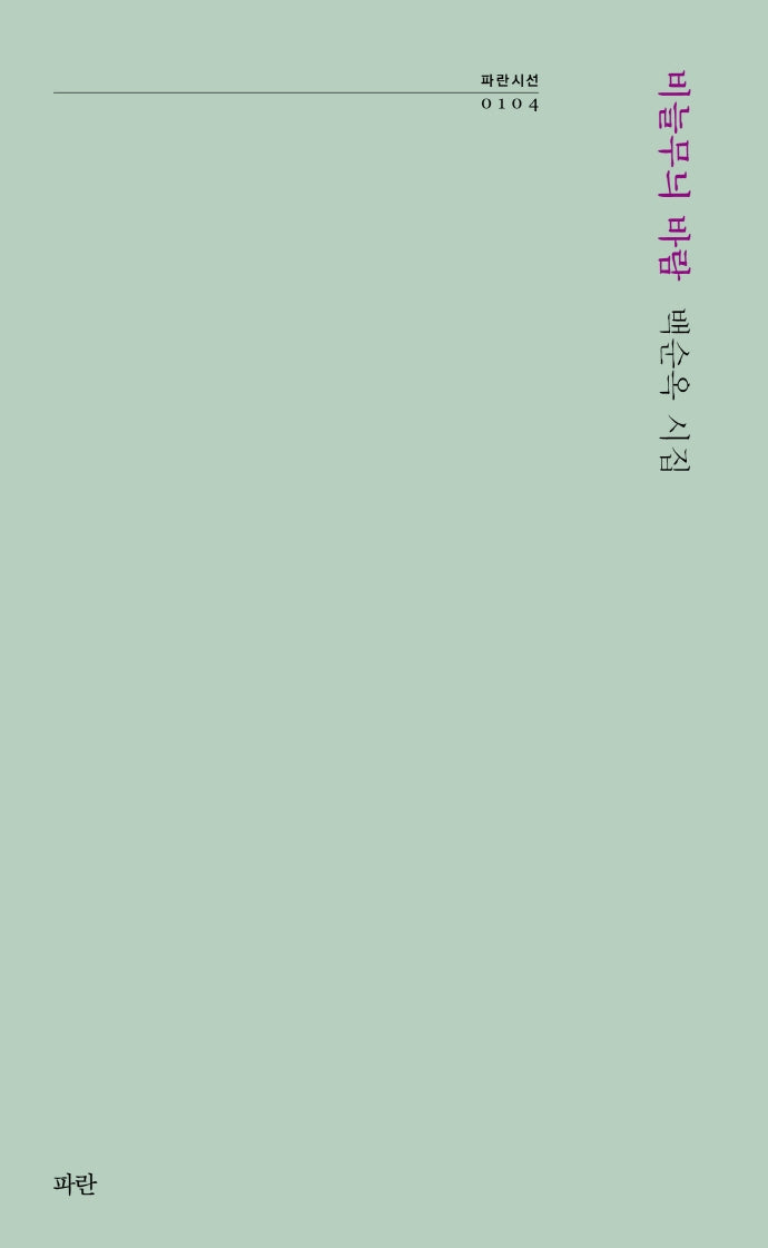 비늘무늬 바람(파란시선 104)