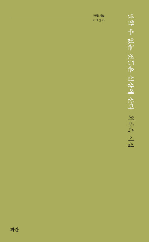 말할 수 없는 것들은 심장에 산다(파란시선 130)