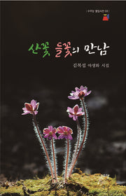 산꽃 들꽃의 만남