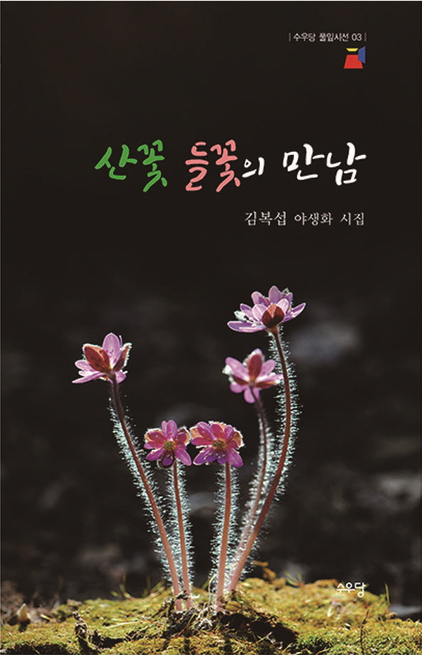 산꽃 들꽃의 만남