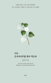 나는 은사시나무를 받아 적는다
