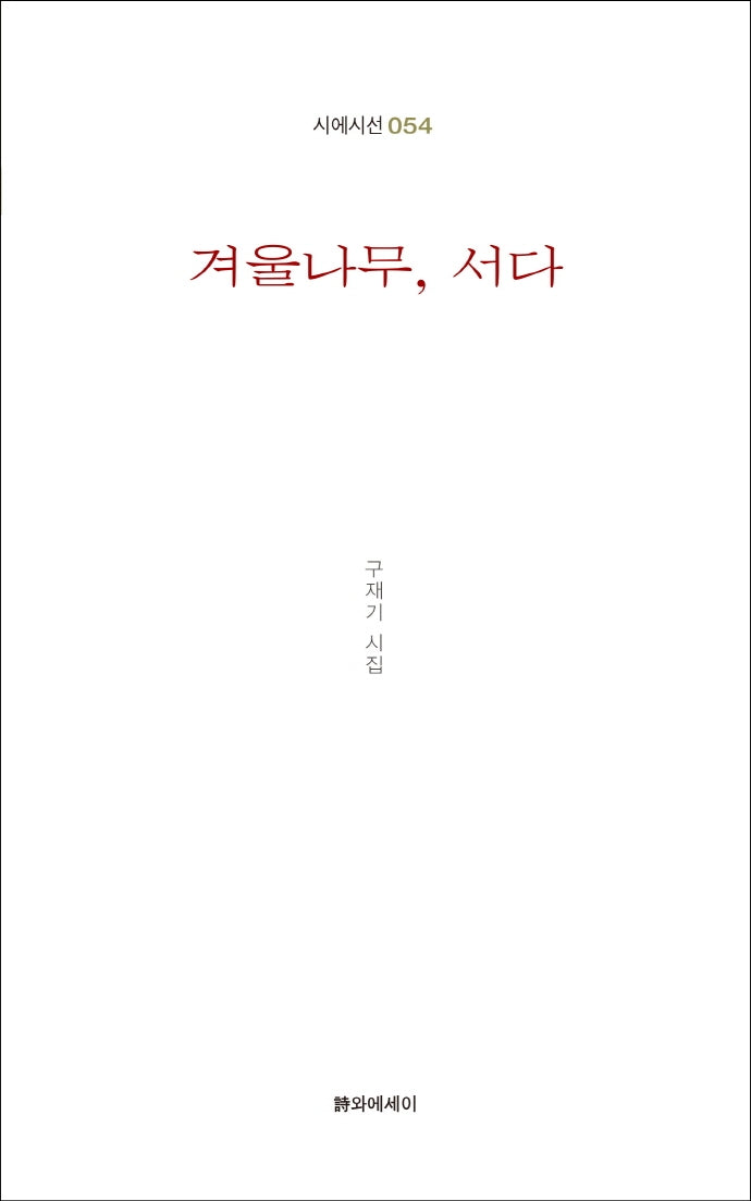 겨울나무 서다(시에시선 54)