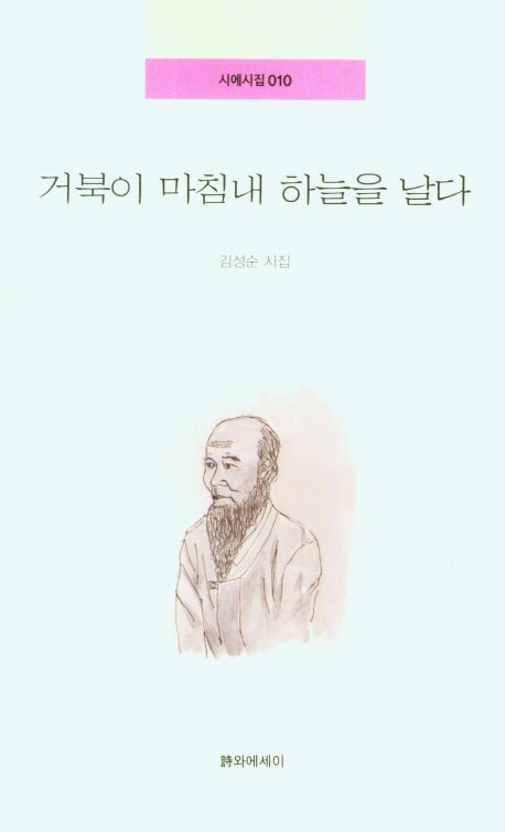 거북이 마침내 하늘을 날다(시에시집 10)