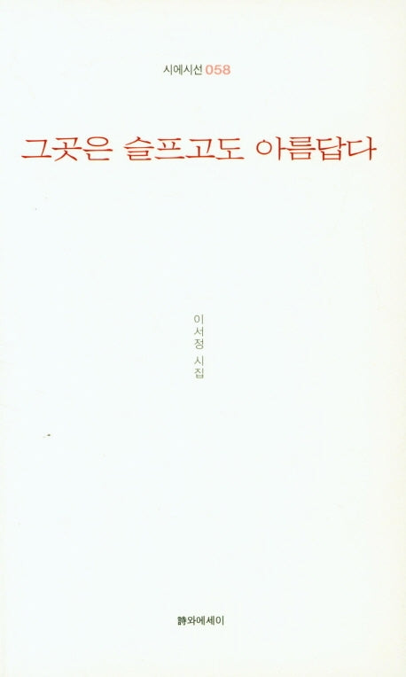 그곳은 슬프고도 아름답다(시에시선 58)