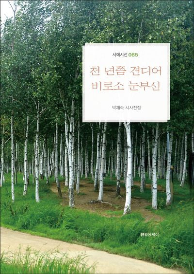 천 년쯤 견디어 비로소 눈부신(시에시선 65)(양장본 Hardcover)