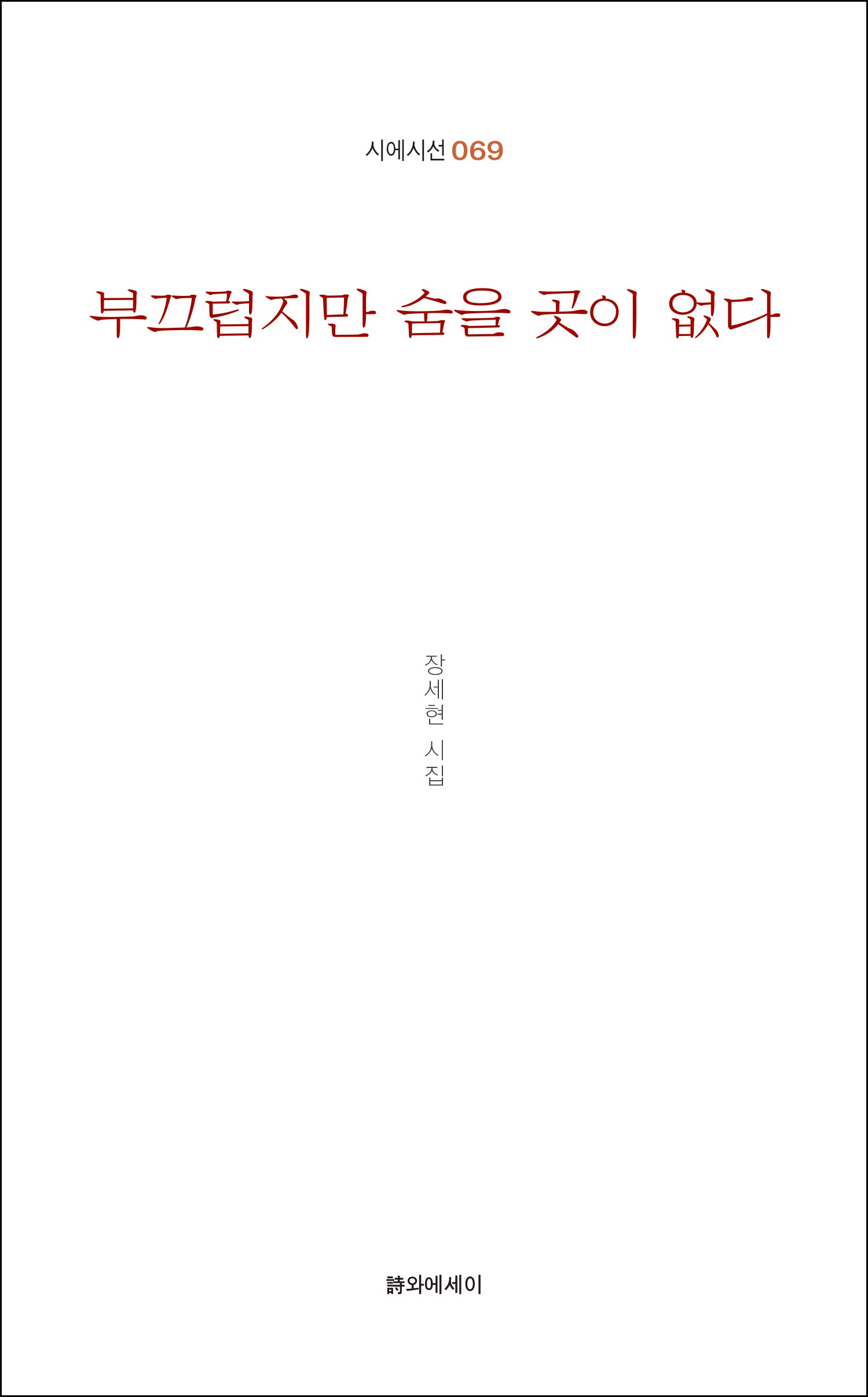 부끄럽지만 숨을 곳이 없다(시에시선 69)