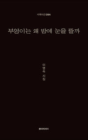 부엉이는 왜 밤에 눈을뜰까(시에시선 94)