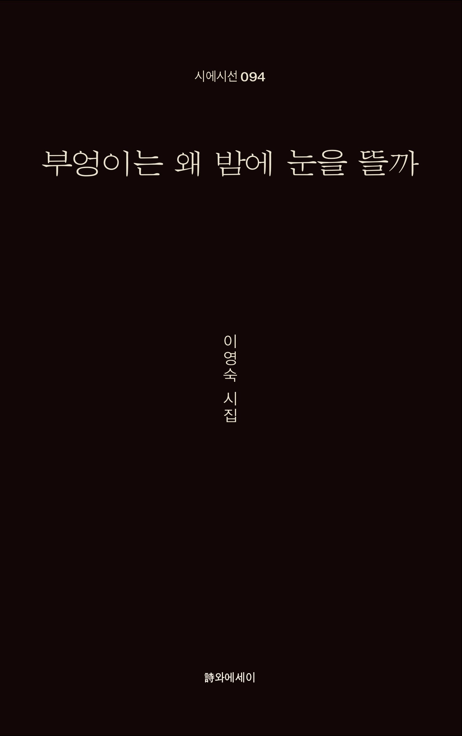 부엉이는 왜 밤에 눈을뜰까(시에시선 94)