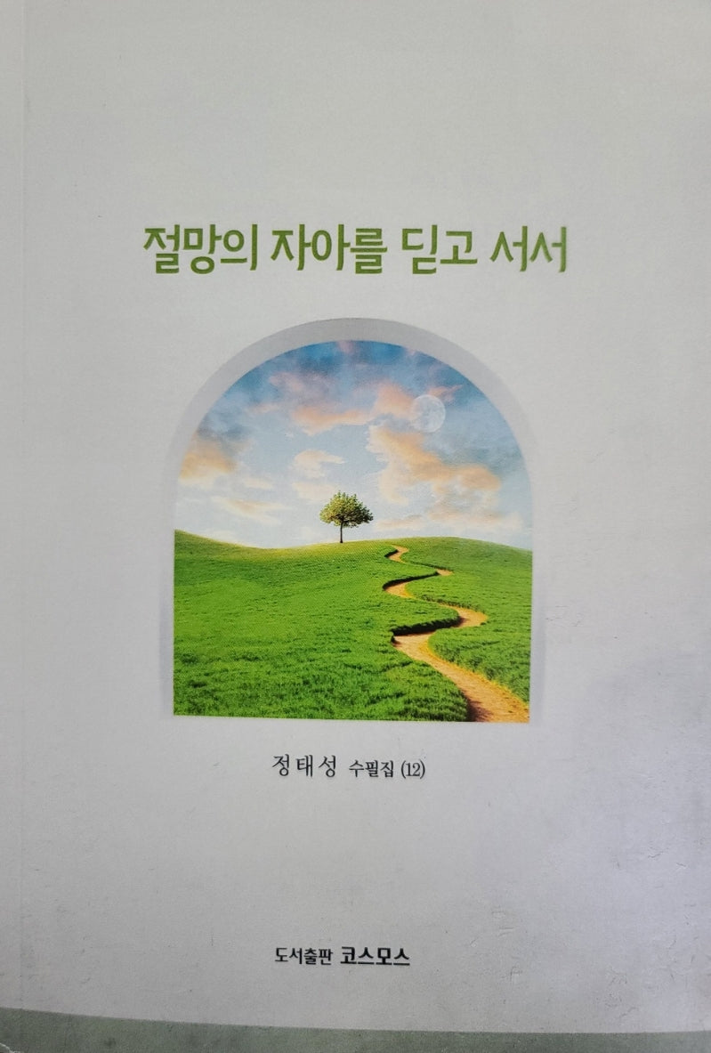 절망의 자아를 딛고 서서(정태성 수필집 12)