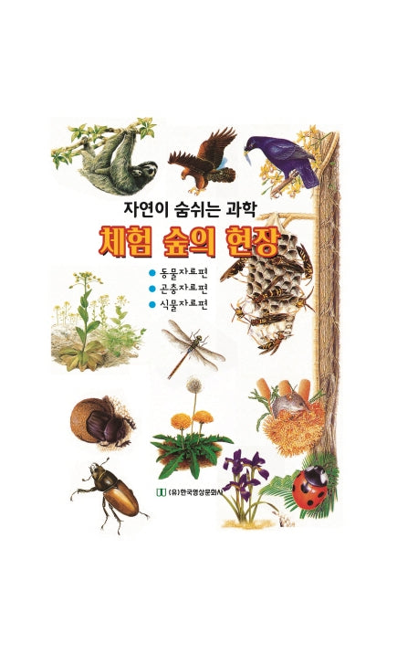 체험 숲의 현장(양장본 Hardcover)