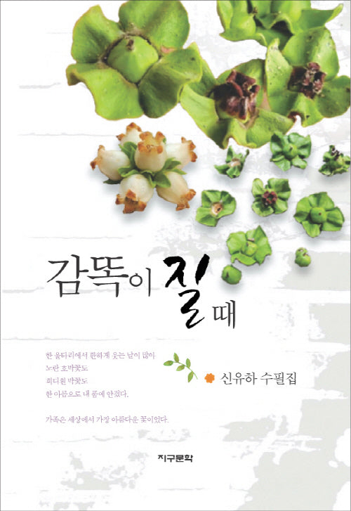 감똑이 질 때