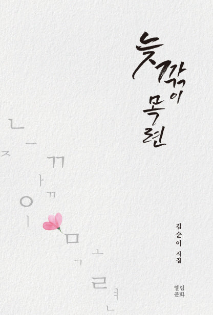 늦깎이 목련