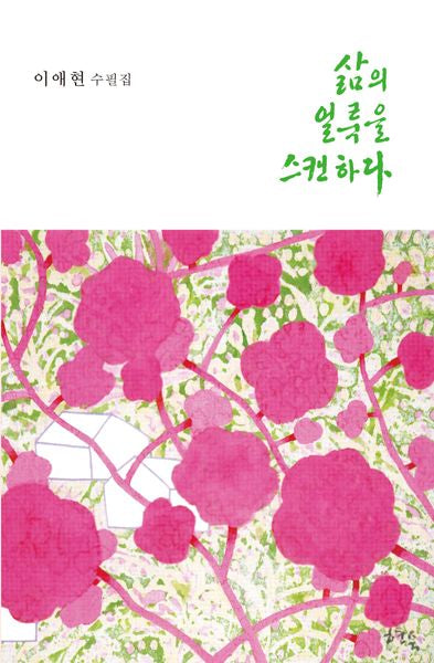 삶의 얼룩을 스캔하다