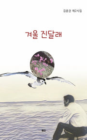 겨울 진달래