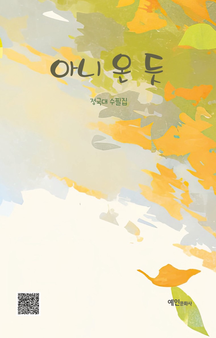 아니 온 듯