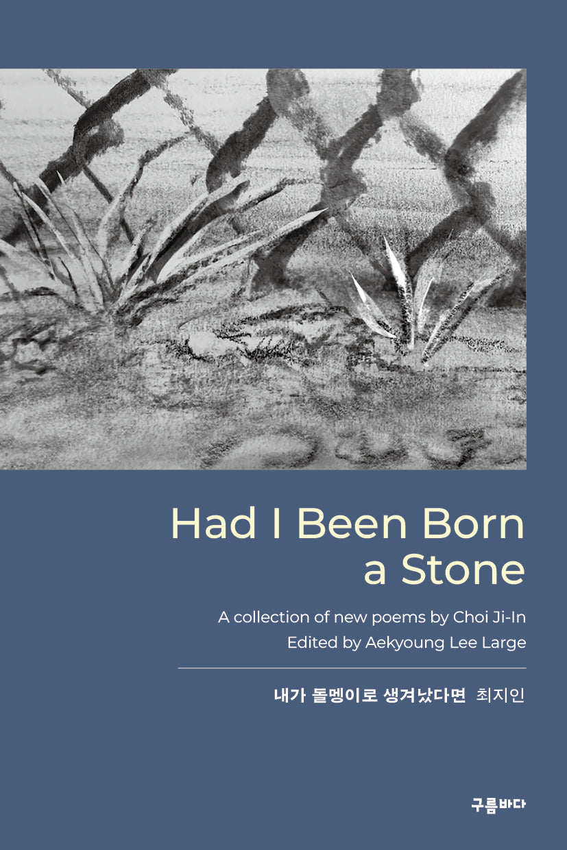 Had I Been Born a Stone : 내가 돌멩이로 생겨났다면