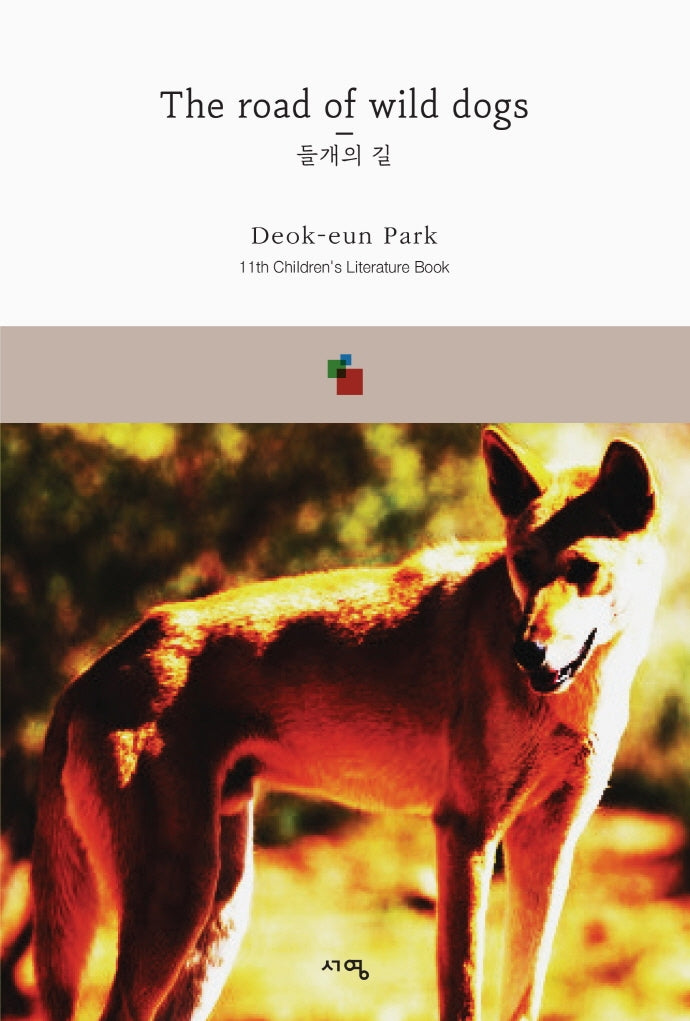들개의 길(The road of wild dogs)