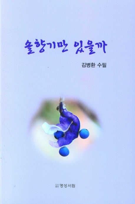 솔향기만 있을까