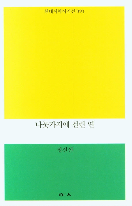 나뭇가지에 걸린 연(현대시학 시인선 93)