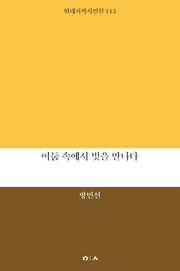 어둠 속에서 빛을 만나다(현대시학시인선 113)