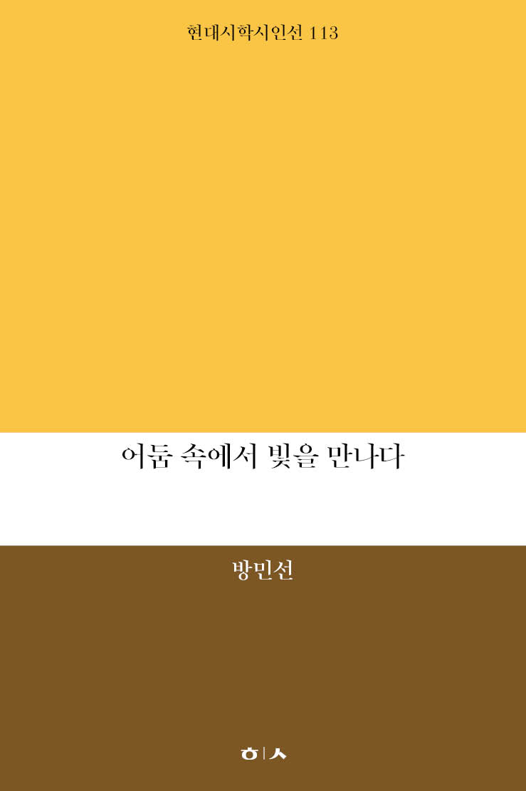 어둠 속에서 빛을 만나다(현대시학시인선 113)
