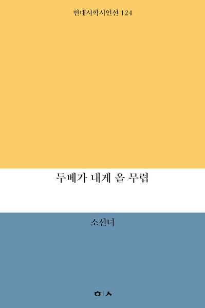 두베가 내게 올 무렵(현대시학시인선 124)