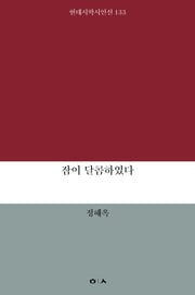 잠이 달콤하였다(현대시학시인선 133)