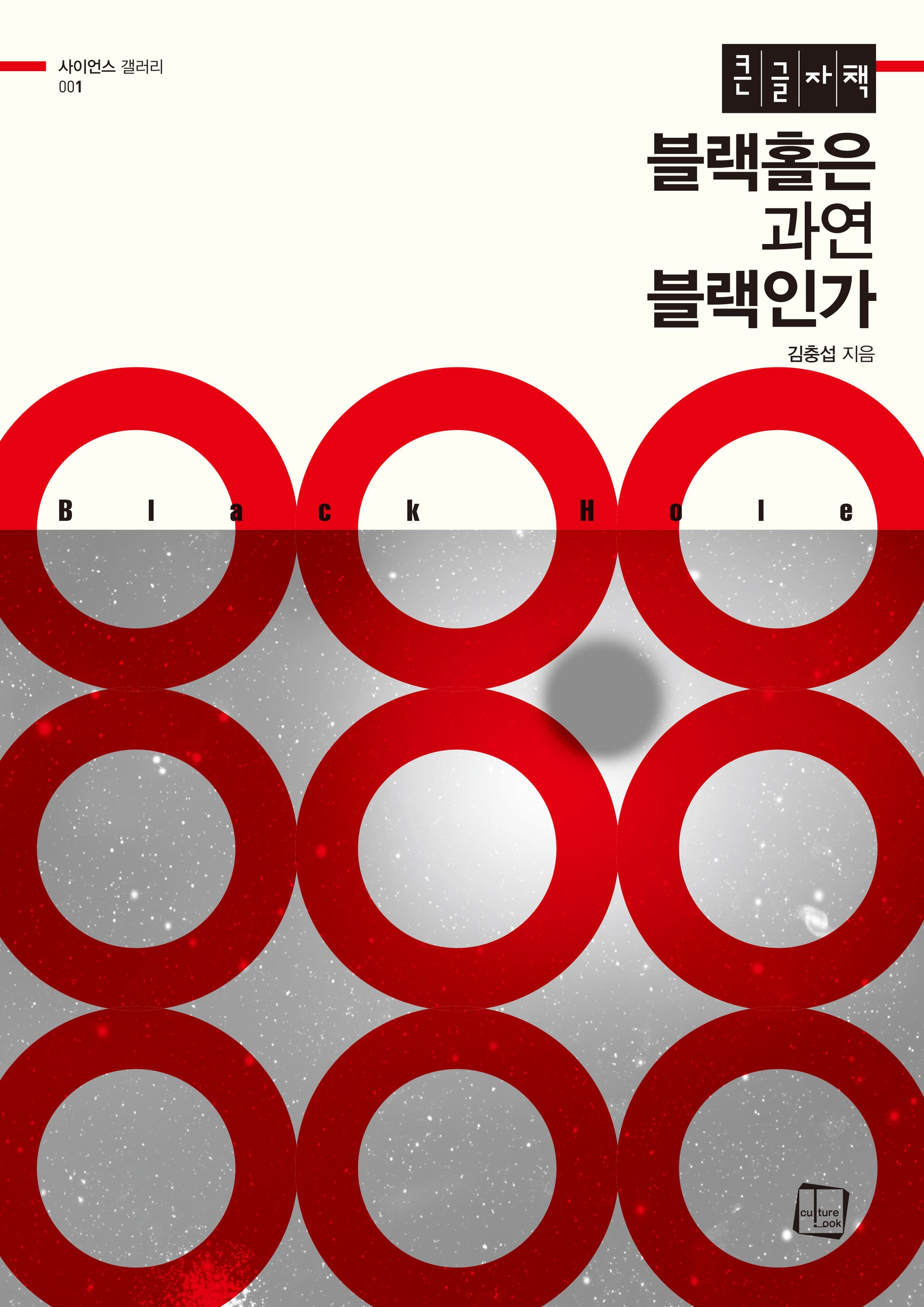 블랙홀은 과연 블랙인가(큰글자도서)
