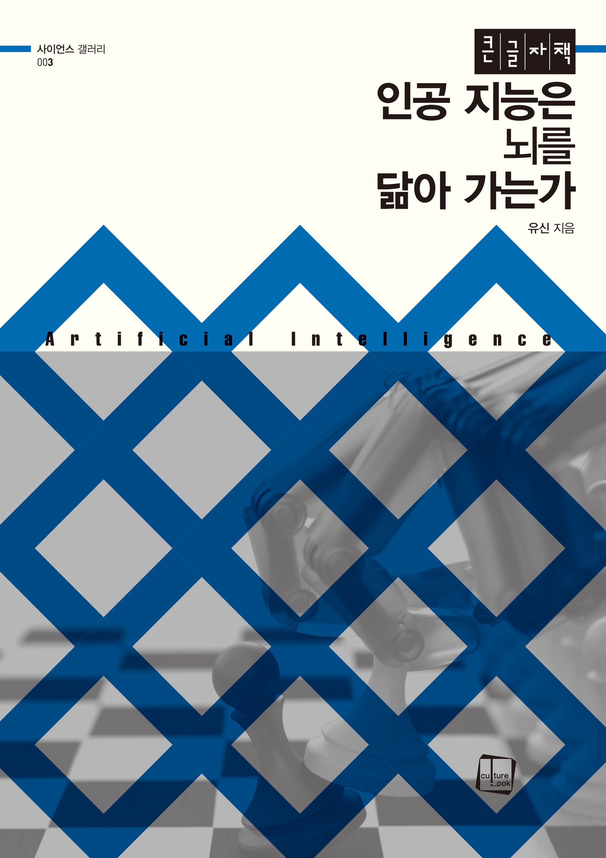 인공 지능은 뇌를 닮아가는가(큰글자도서)