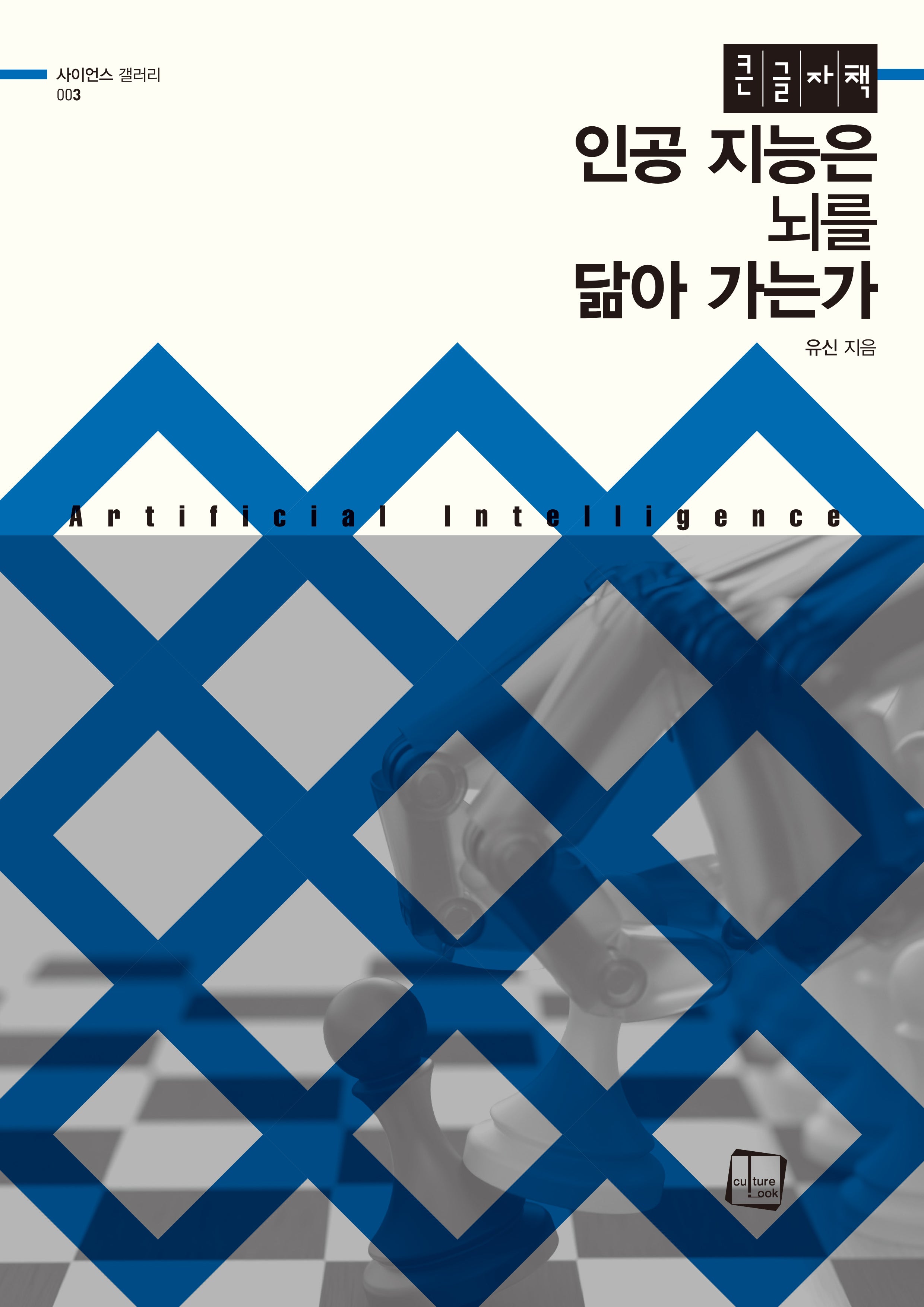 인공 지능은 뇌를 닮아가는가(큰글자도서)