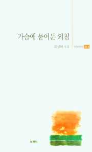가슴에 묻어둔 외침(문장시인선 13)