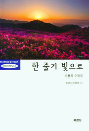 한 줄기 빛으로(한국현대수필 100년 사파이어문고 3)