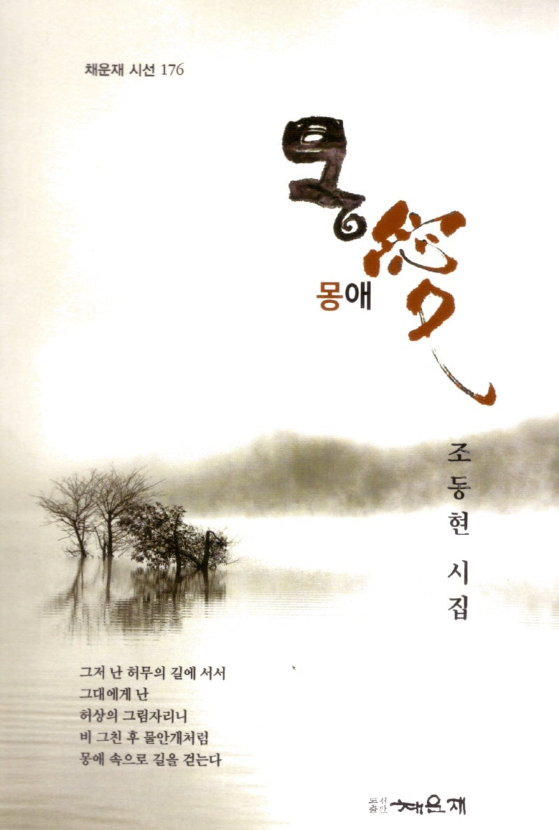 몽애(채운재 시선 176)
