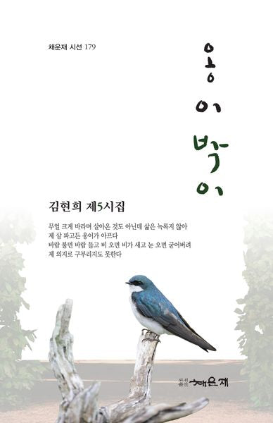 옹이박이(채운재 시선 179)