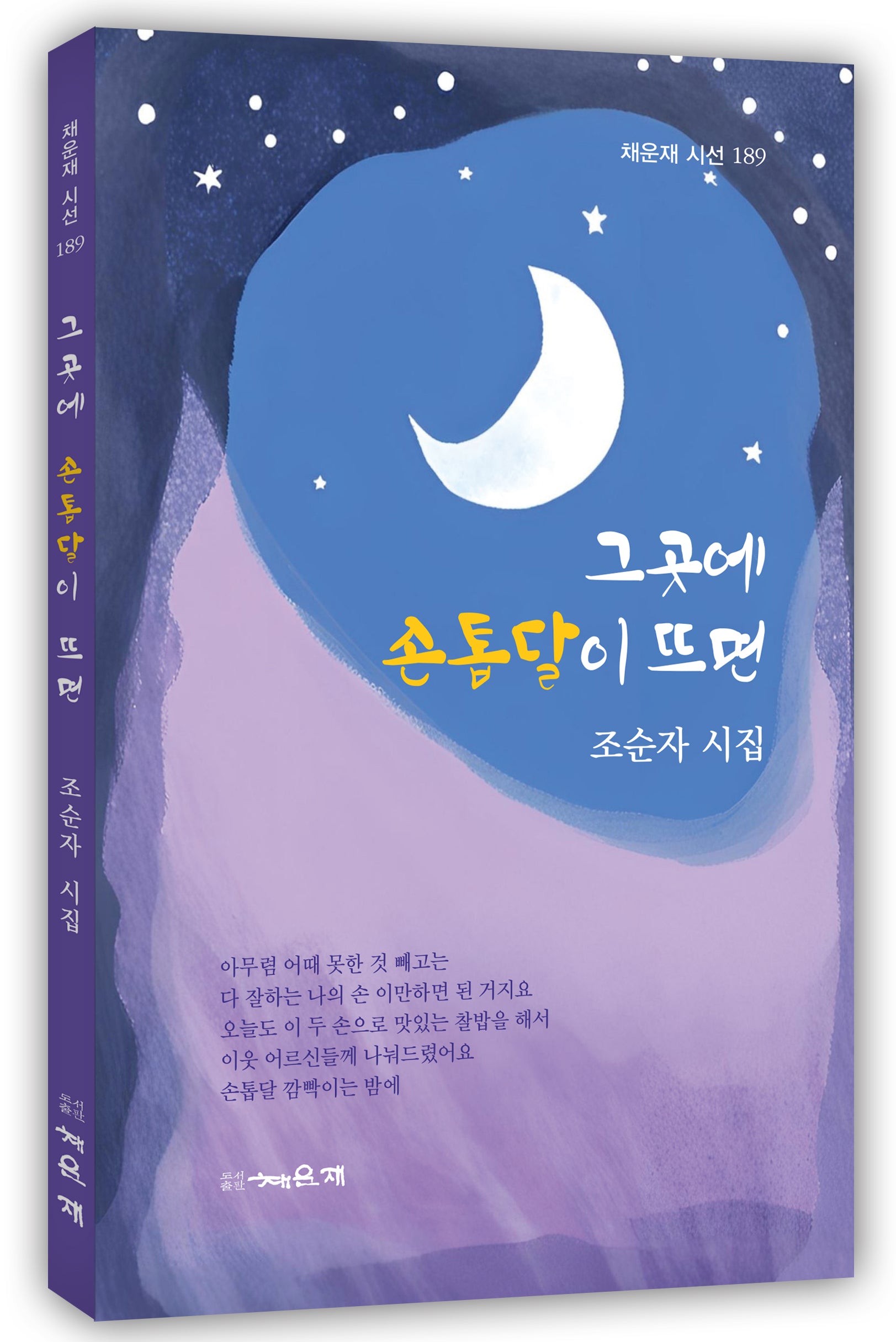 그곳에 손톱달이 뜨면(채운재 시선 189)