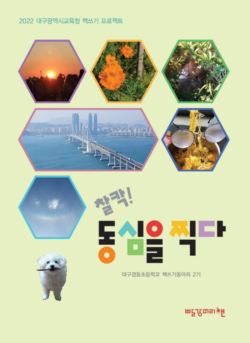 찰칵! 동심을 찍다