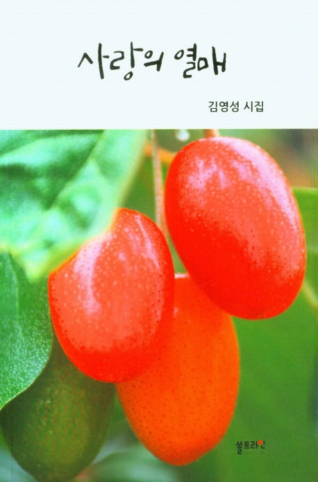 사랑의 열매